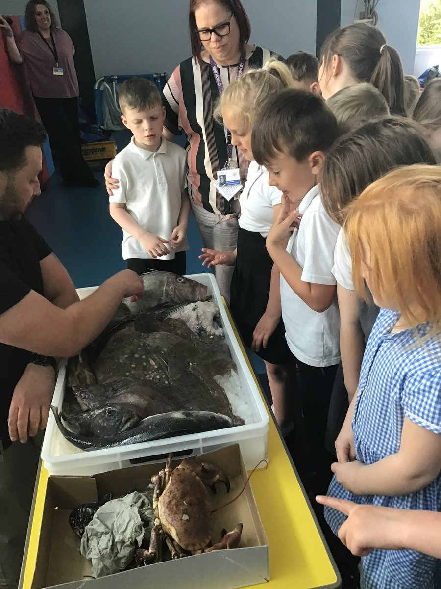 Owston Park Primary Academy (@owstonppa) on Twitter photo A huge thank you to <a href="/TGFishmonger/">The Gentleman Fishmonger</a> for visiting school today! Year 2 loved seeing the fish and learning all about the fish on our East Coast. Thank you! 🐟 A huge thank you to <a href="/TGFishmonger/">The Gentleman Fishmonger</a> for visiting school today! Year 2 loved seeing the fish and learning all about the fish on our East Coast. Thank you! 🐟