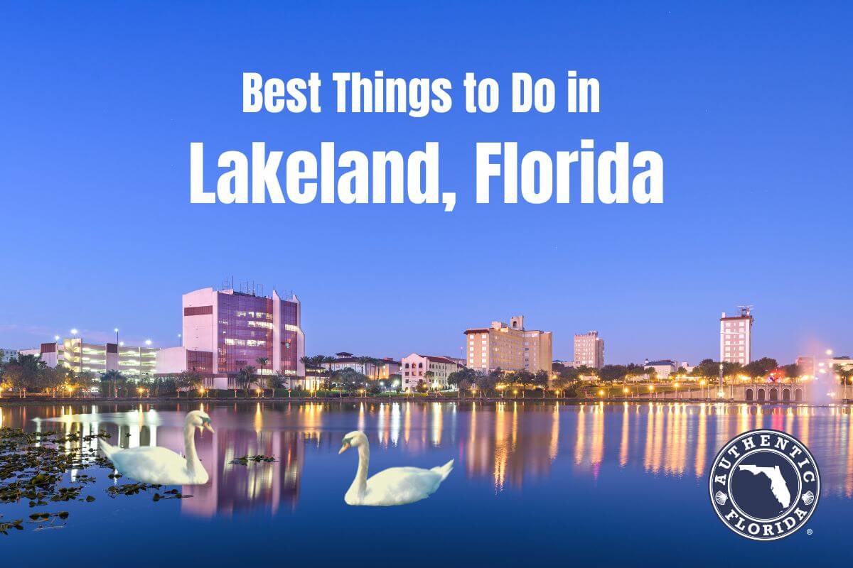 15 Best Things to Do in Lakeland: authenticflorida.com/things-to-do-i… 🦢

@lakelandgov @DowntownLkld 
@VisitCentralFL