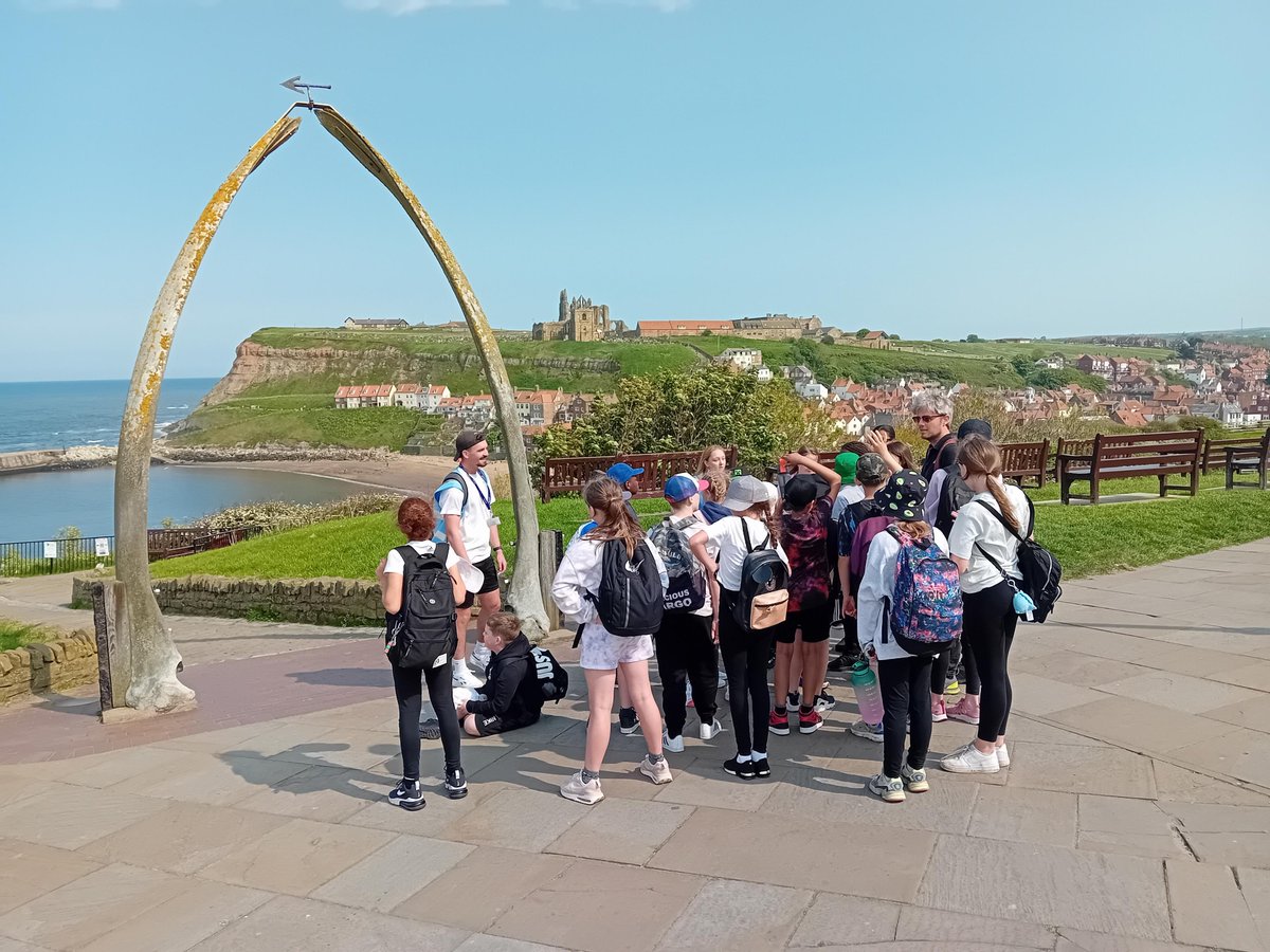 TempleLearningAcademy tweet media