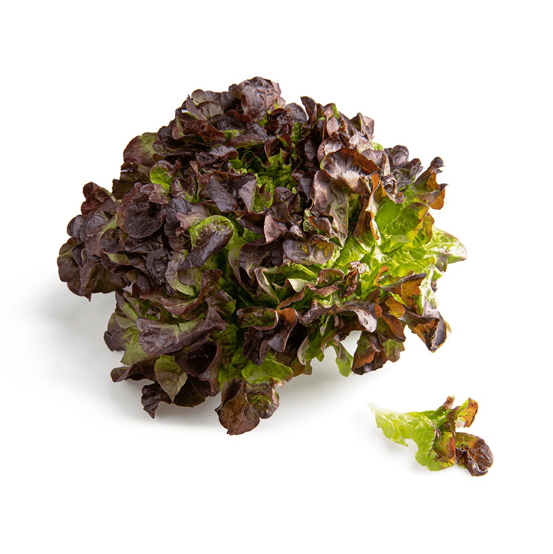 Aldi_es's tweet photo. ¿Queréis sorteo? 🥳 Si nuestra lechuga fresca en oferta y de origen nacional llega a 200 likes, MAÑANA lanzamos un SORTEO. #ObservatorioFrescosALDI #FrescosPorNaturalezaALDI https://t.co/ho6TQ6RWpo