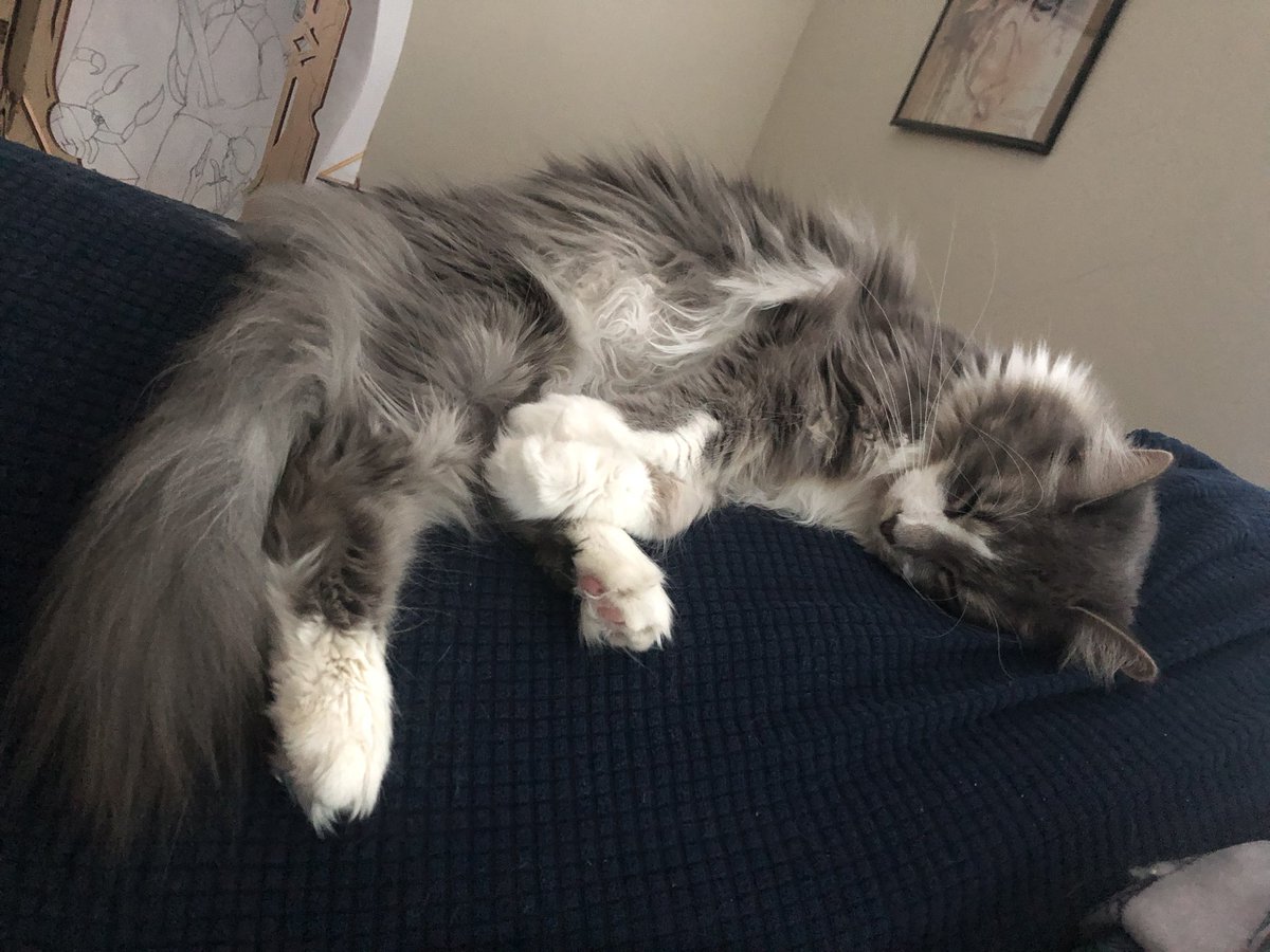 HawkOddly tweet media