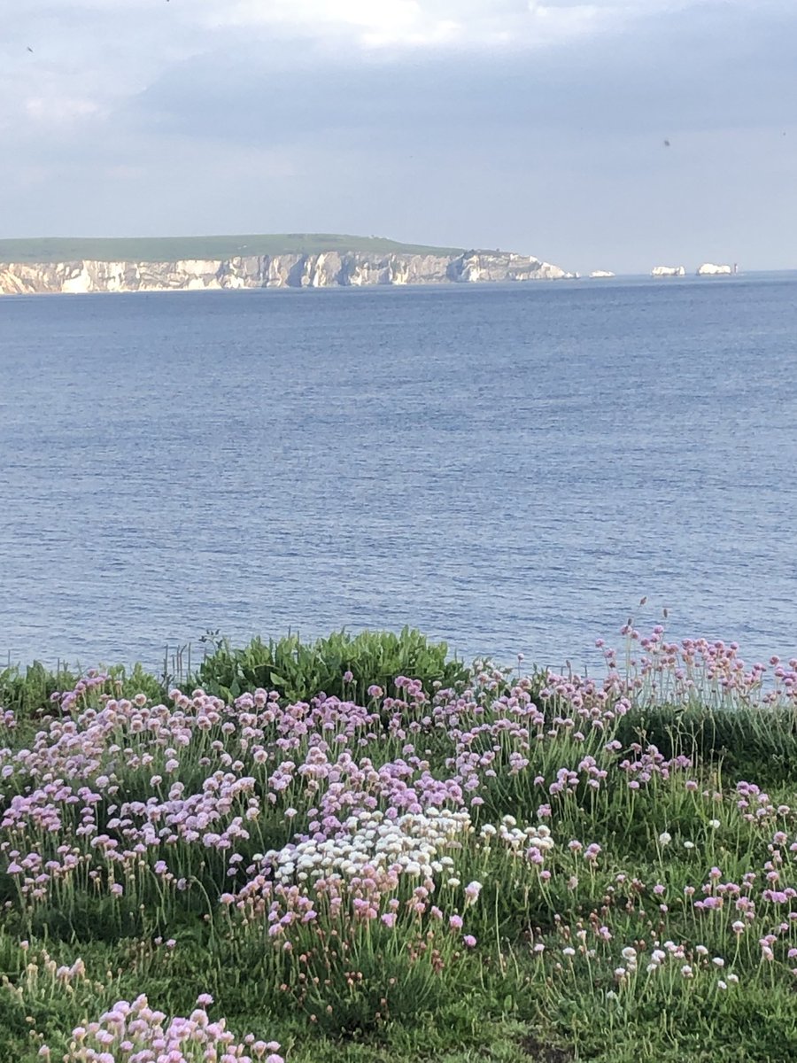 LindyHoldenDye's tweet photo. A very warm ⁦@sotonbiosci⁩ ⁦@unisouthampton⁩ welcome to Vladimir Jiranek who joined us today from University Adelaide as Professor in Microbial Systems. Exciting times on the beautiful south coast! https://t.co/E6uadZEdhV