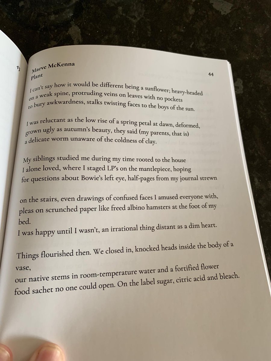 Maeve McKenna tweet media