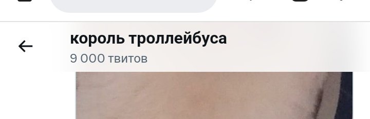 король троллейбуса tweet media