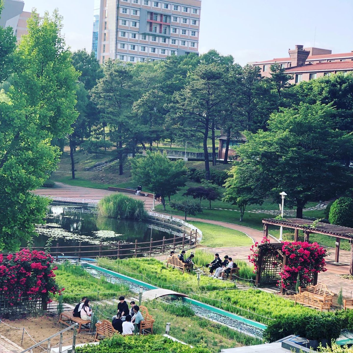 Murray State University and Daegu University  began a cultural exchange partnership in 2001. Today, both institutions shared what the exchange means to their respective institutions. Thank you to President Park, Dean Ryoo, and Manager Kang for greeting us warmly upon our arrival.