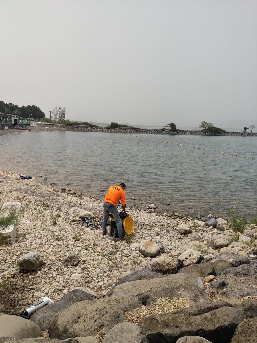 Shaked Stein tweet media