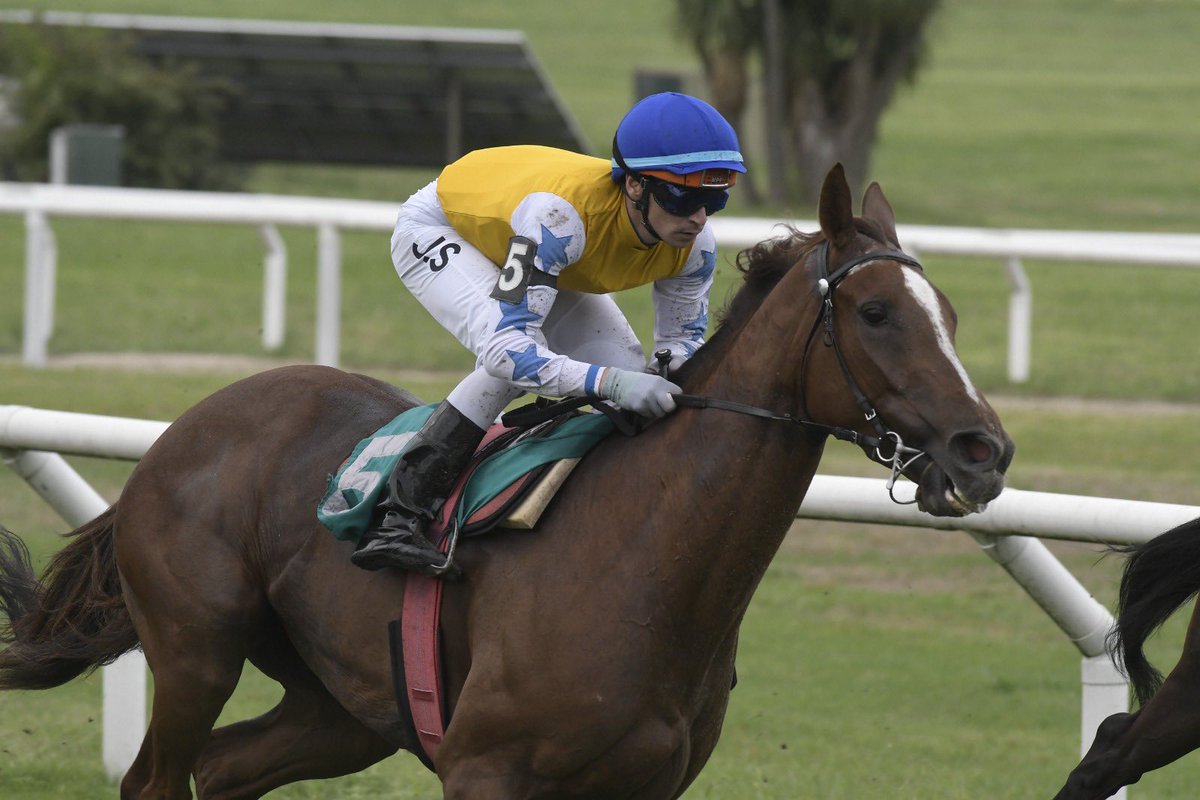 Demi Moore corre el sábado en <a href="/HipodromoSI/">Hipódromo San Isidro</a> con la monta de <a href="/jose57513547/">José da silva</a> y la presentación de Valdimar de Oliveira que será representado por Pablo Falero en el clásico Particula G2 sobre 2200 metros.