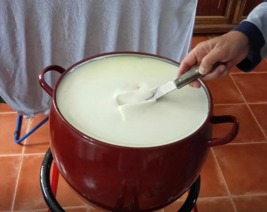 LIstantfromager's tweet photo. info@listantfromager.com
¡Emocionante prueba de corte de cuajada por parte de nuestro alumno del curso a distancia de #quesos caseros! 🧀🔪 El resultado fue simplemente espectacular, con una textura firme y uniforme. ¡Enhorabuena  🎉👏 #quesoscaseros #cuajada #texturasdeliciosas https://t.co/Tk65en8L8V