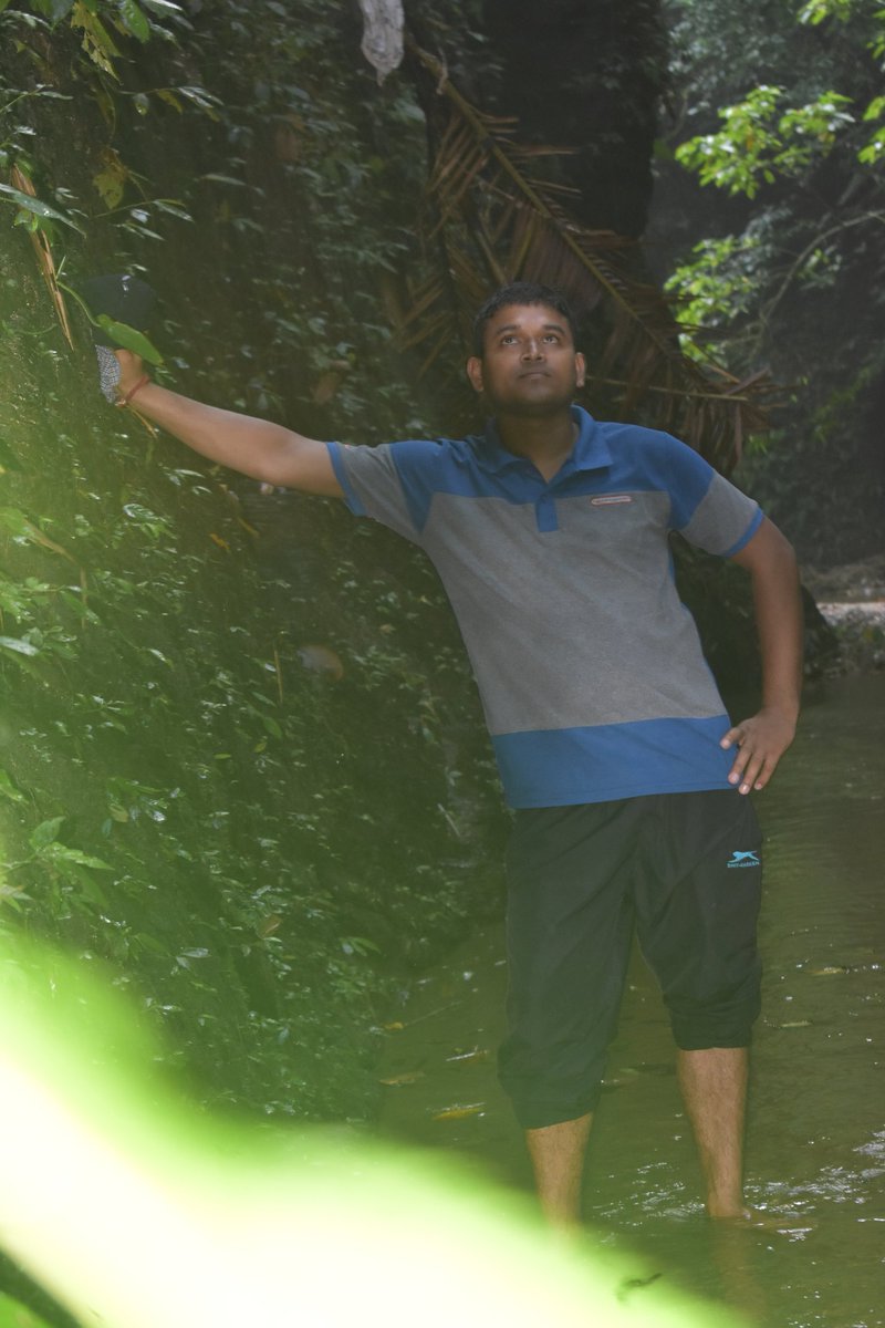 <a href="/pritamn73543864/">pritam nath</a>