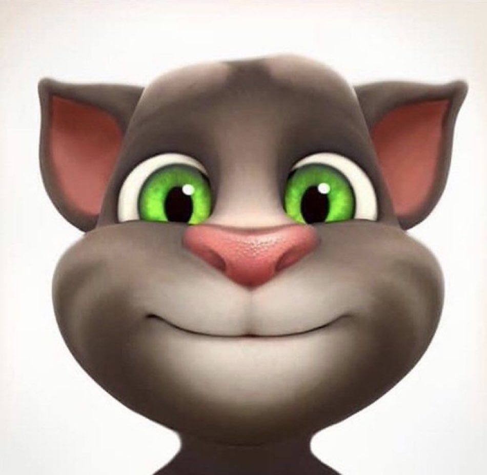 De onnozelheid dat ik tegen deze kat verteld heb..