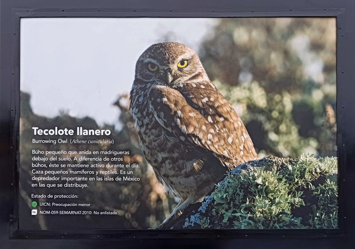 Conservación Islas tweet media