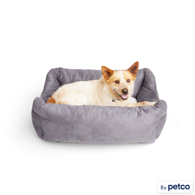 PETCO 
Limited-Time Sale Up to 50% Off
20% OFF Select Dog & Cat Supplies when you choose Same Day Delivery 
UP TO 50% OFF DOG BEDS
BOGO 50% off Vet's Best Natural Flea and Tick Solutions 
National Pet Month: Buy 2, Save 30% 
...and much more!
https://t.co/Zn6FhccRqa sponsored https://t.co/xlM4pzo0yk