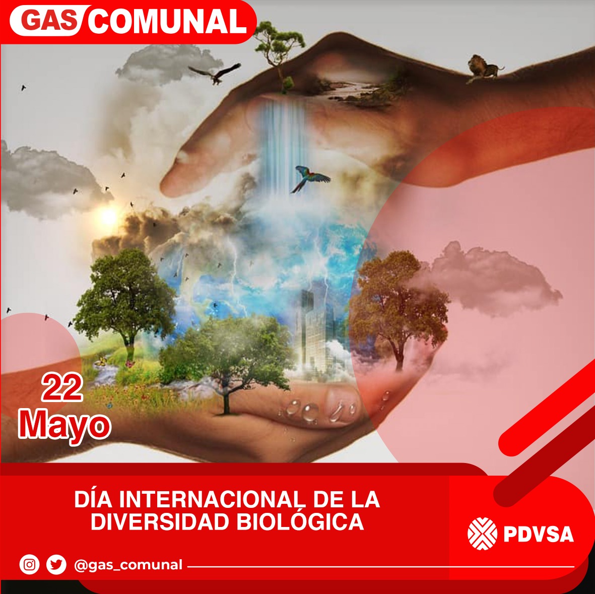 PDVSA Gas Comunal S.A. tweet media