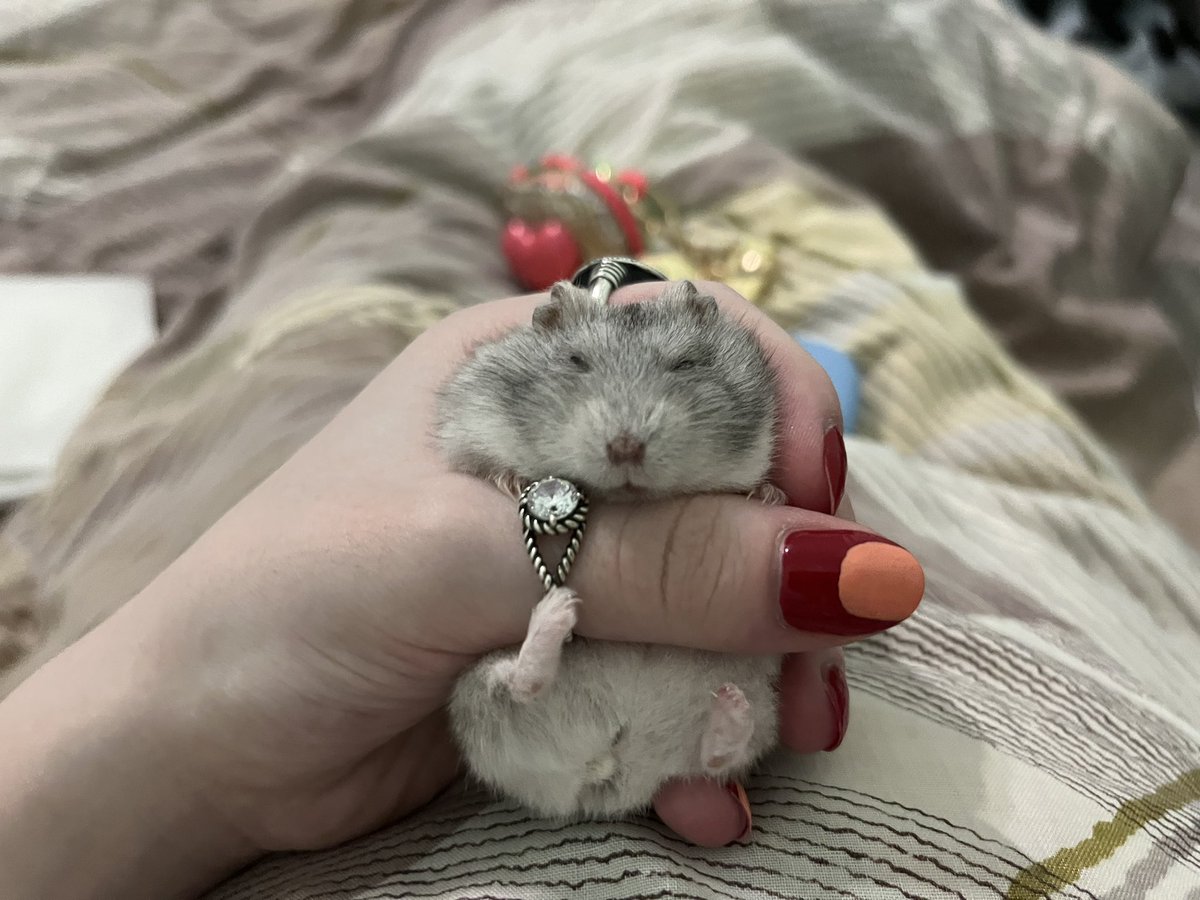 chevy.Владислава🇺🇦 tweet media