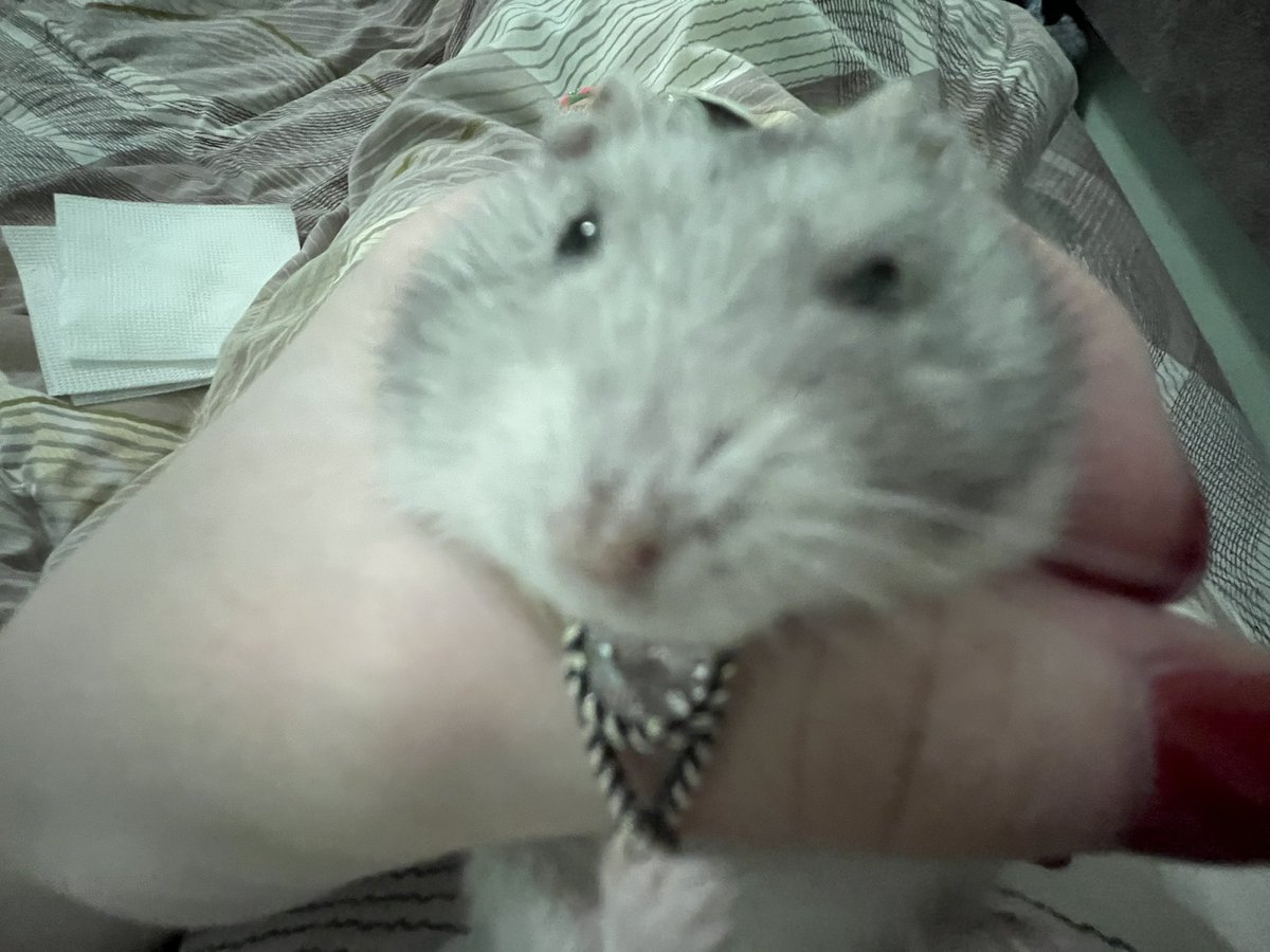 chevy.Владислава🇺🇦 tweet media