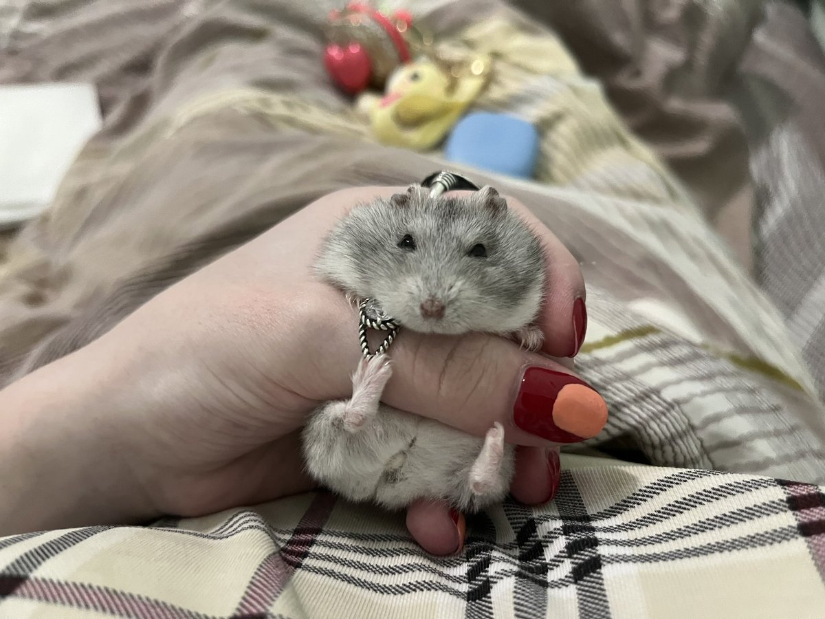 chevy.Владислава🇺🇦 tweet media