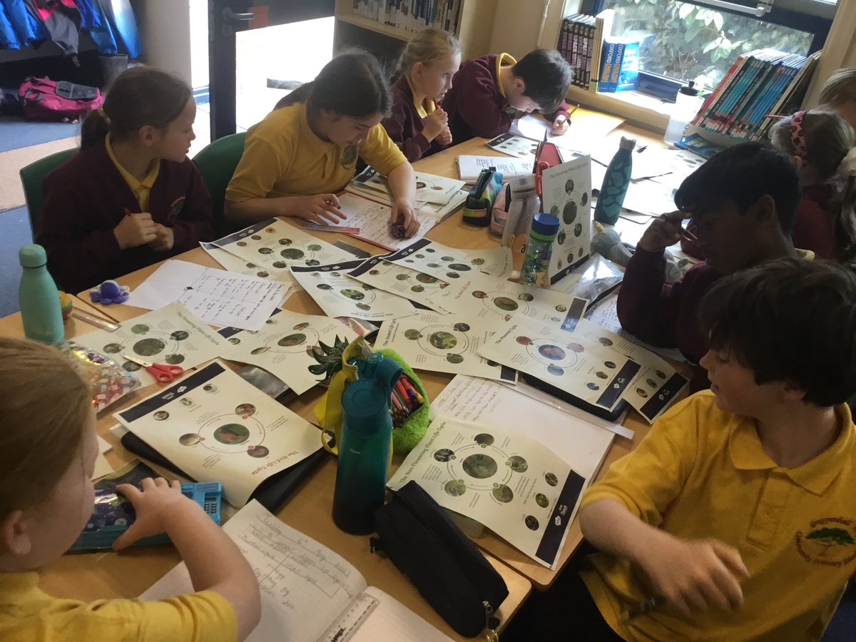 Grappenhall Heys Community Primary School tweet media