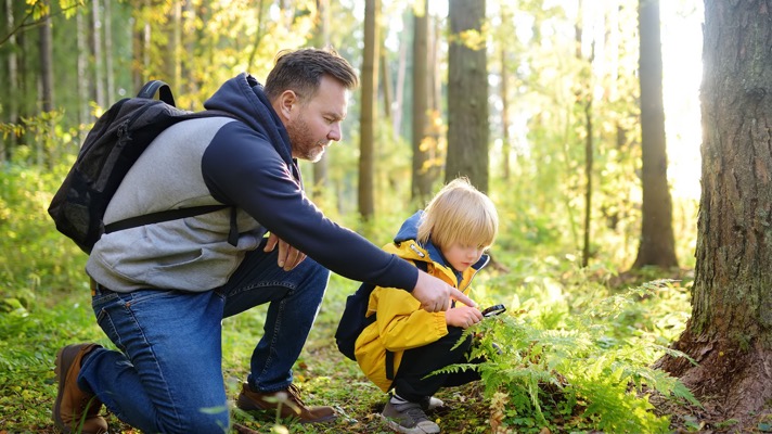 How can we help our children to see God’s glory this summer as they enjoy His creation? Find several ideas in this post.