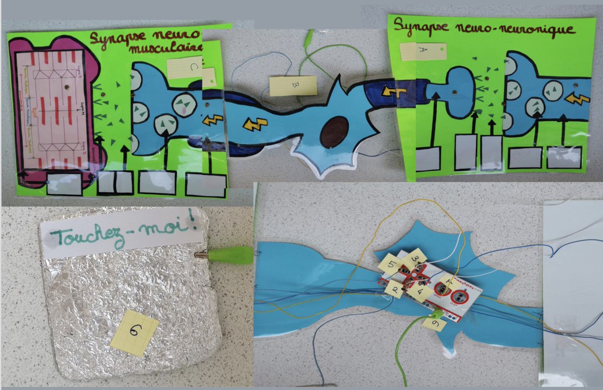 TraAM 2023: apprendre à concevoir des objets connectés. Exemple d'une "synapse connectée" s'intégrant comme outil pédagogique dans une séance différenciée. Lien vers la fiche Edubase: edubase.eduscol.education.fr/fiche/21663