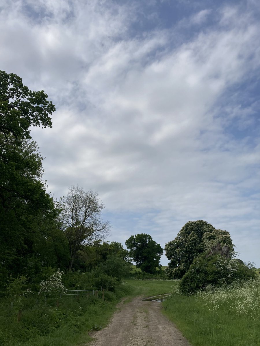 BWSAdventure's tweet photo. 8P out on the Longford Estate today in beautiful sunshine. Thanks to the Headmaster for accompanying and tuning us in to the birdsong. Thanks as always to David Canty and his team for having us. @HoratiosGarden @BWordsworths #chiffchaff #backintheyews #19left #adifferentclassroom https://t.co/D6nmRe1xLC