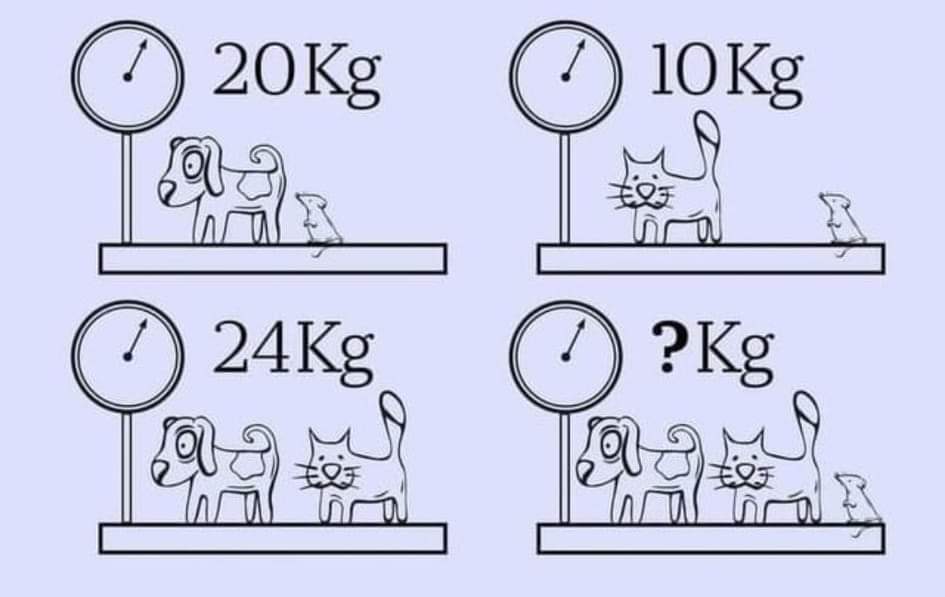 Informa Cosmos tweet media
