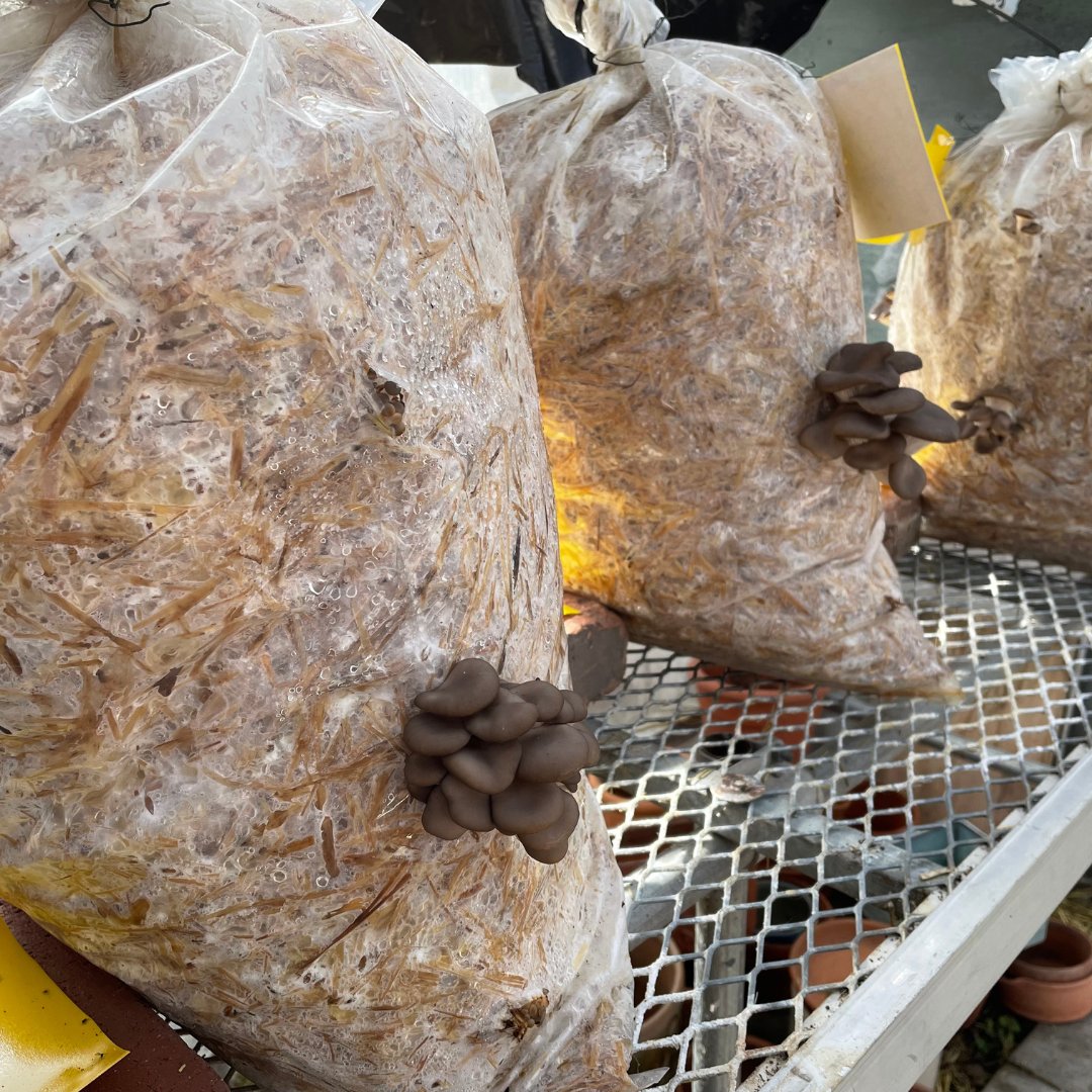 The 577 Foundation tweet media