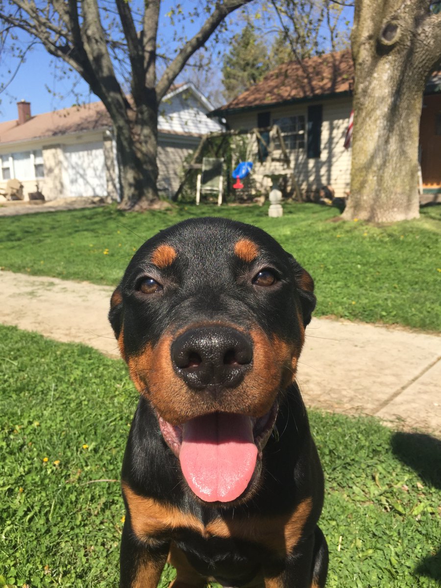 I like that shirt, <a href="/kellyoverturd/">kelly belly</a>!