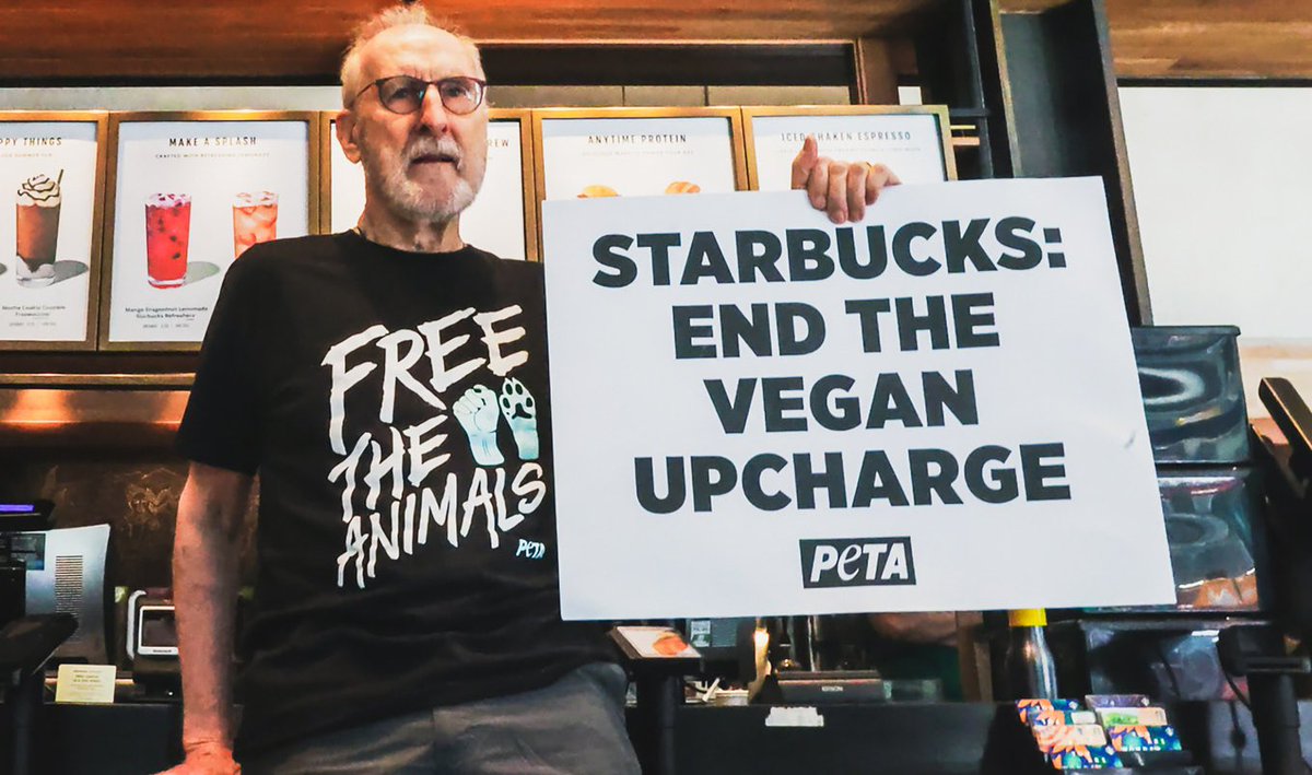 Starbucks Drops Vegan Milk Surcharge at All 145 Locations in Germany  #Starbucks #VeganUpcharge #VeganMilk #JamesCromwell @PETA @Starbucks 
vegnews.com/2023/3/starbuc… via @VegNews