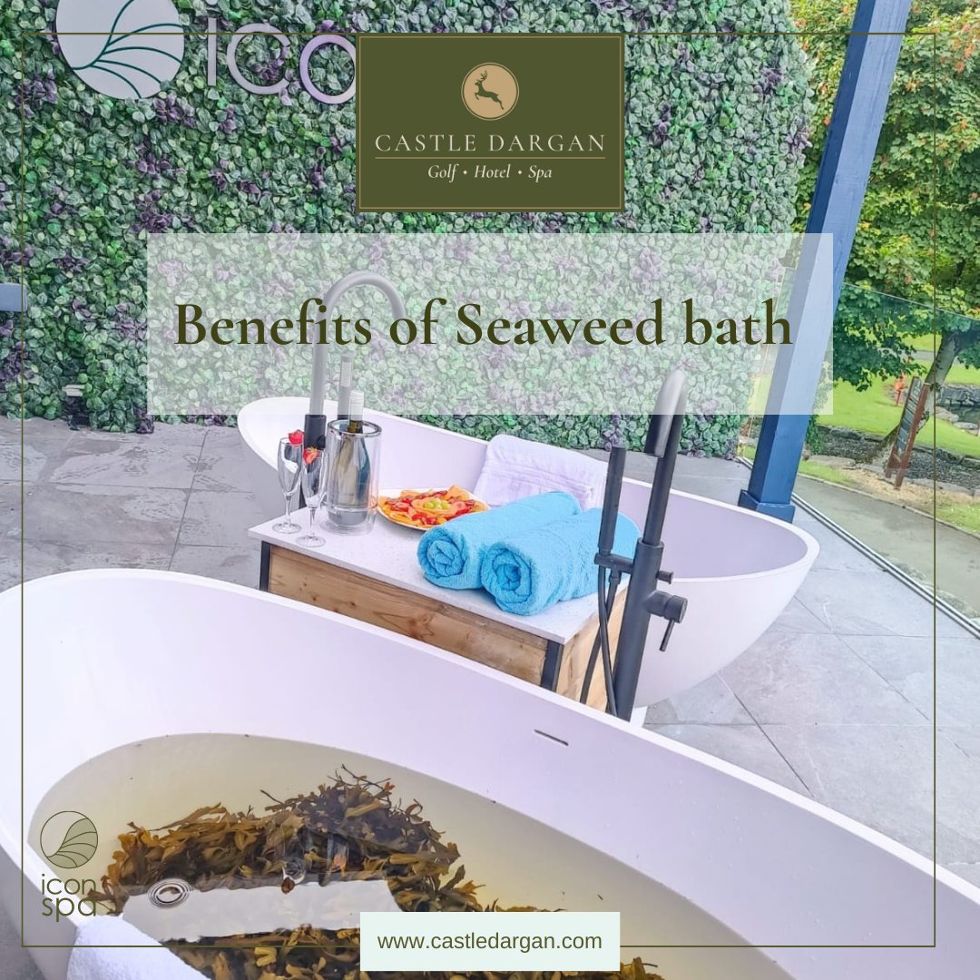 CastleDargan's tweet photo. Seaweed has natural anti-aging and anti-cellulite properties, improving skin suppleness and elasticity.
Book your bath now!!
Link - https://t.co/olgTQhv7Or
๐งiconspa@castledargan.com
๐0719118080
https://t.co/xg7yWy0h15
#seaweed #baths #spa #iconspa #castledargan #sligo https://t.co/5I1LhUfpoD