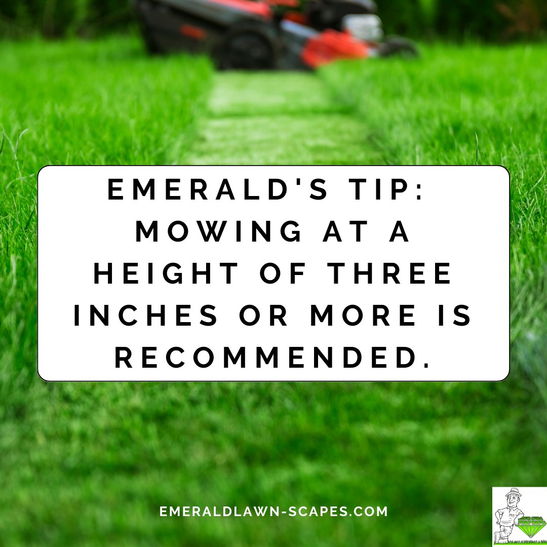 if your lawn is uneven and you're getting whitish-yellow patches, you may need additional topsoil which we can help with. You can also move your mower to four inches to protect your grass.

#SummerLawnCare #EmeraldLawnNJ #EmeraldLawnScapes #NJLawnCare #NJLandscaper #MorrisCounty