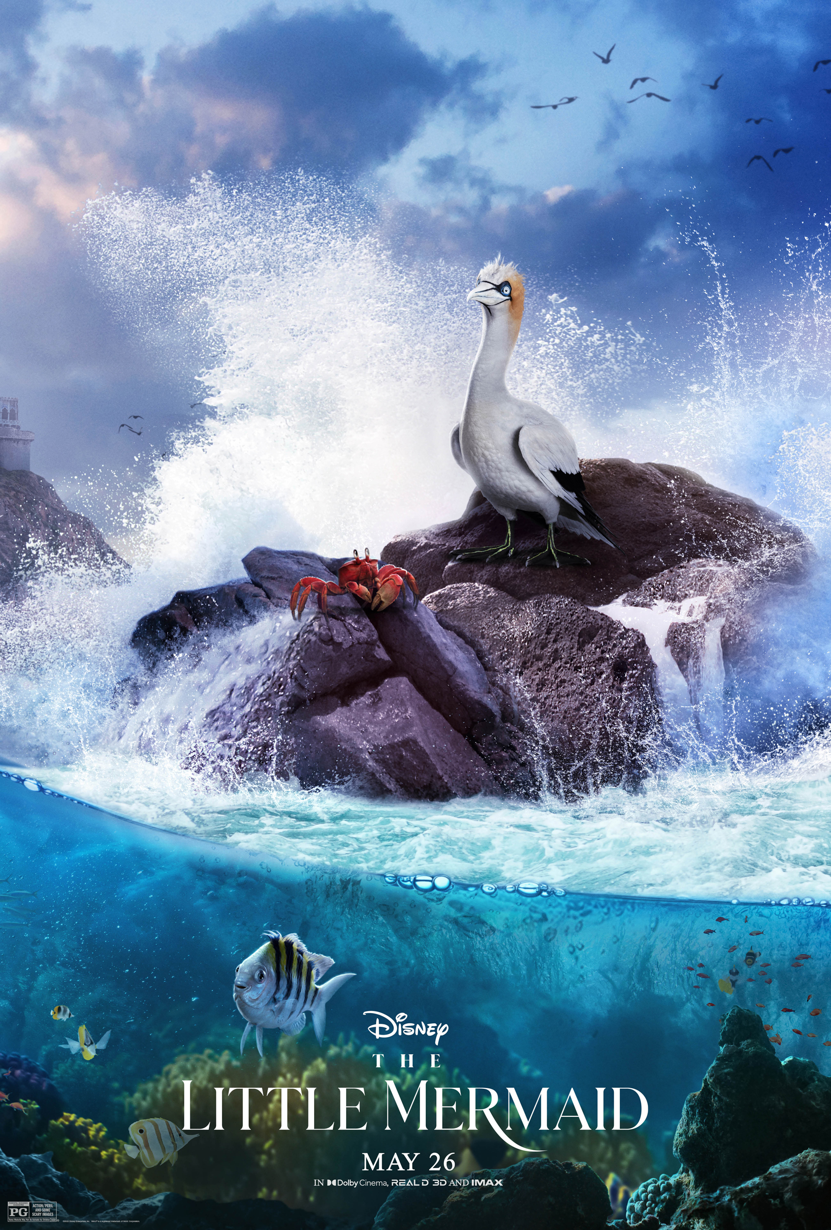 Daveed Diggs y Awkwafina aportan sus voces a Sebastian el cangrejo y Scuttle la gaviota, respectivamente.