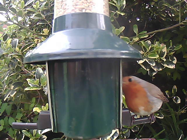 Birdfeederpic's tweet photo. Live WEBCAM:Cam2 Birdfeedercam Carlisle UK #Bigdata #Industry4 #Bird #Springwatch  #IOT  #Birdphotography #Naturephotography #Nature #cumbria 22/05/2023 20:02:41 https://t.co/qsUUsKjgMq