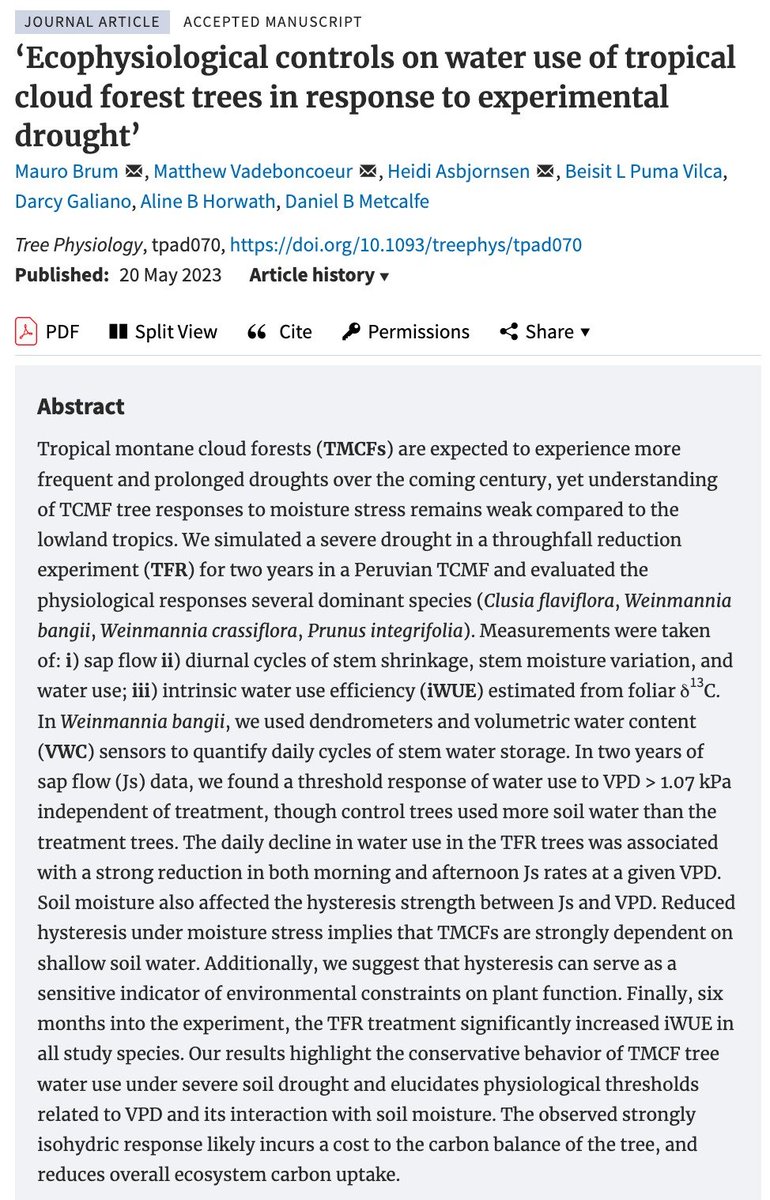 Beisit Luz Puma Vilca tweet media