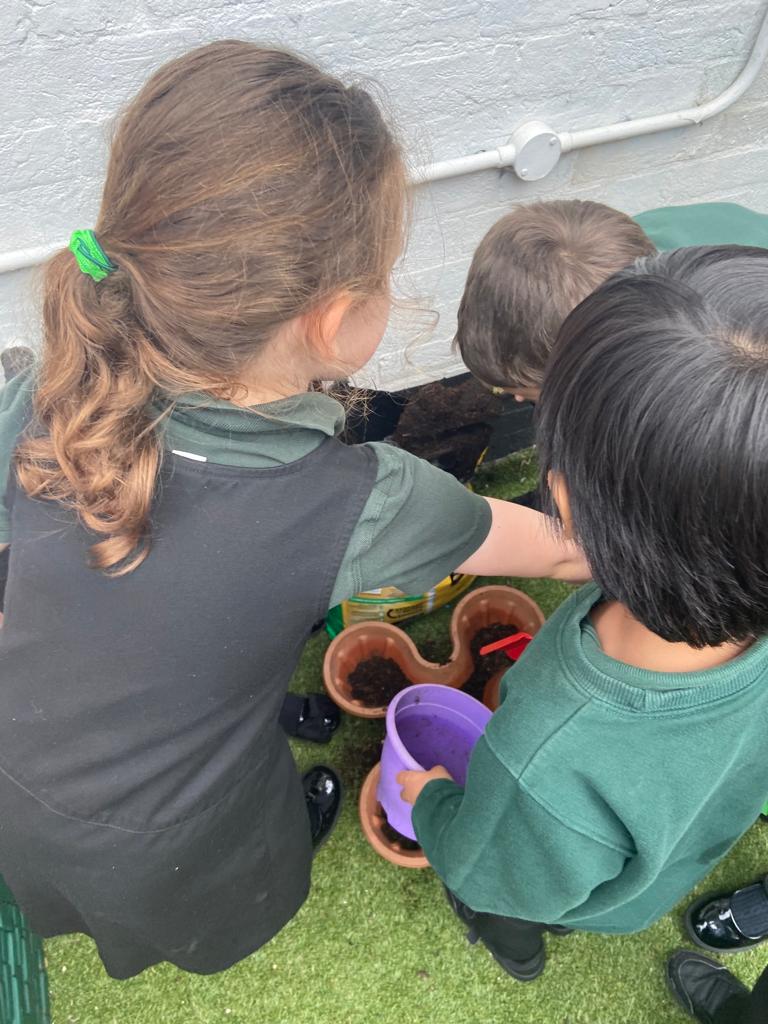 Gardening Club enjoyed planting their Coronation Wildflower Seeds this afternoon.
#coronationseeds #younggardeners #wildflowers  #kingcharlescoronation
