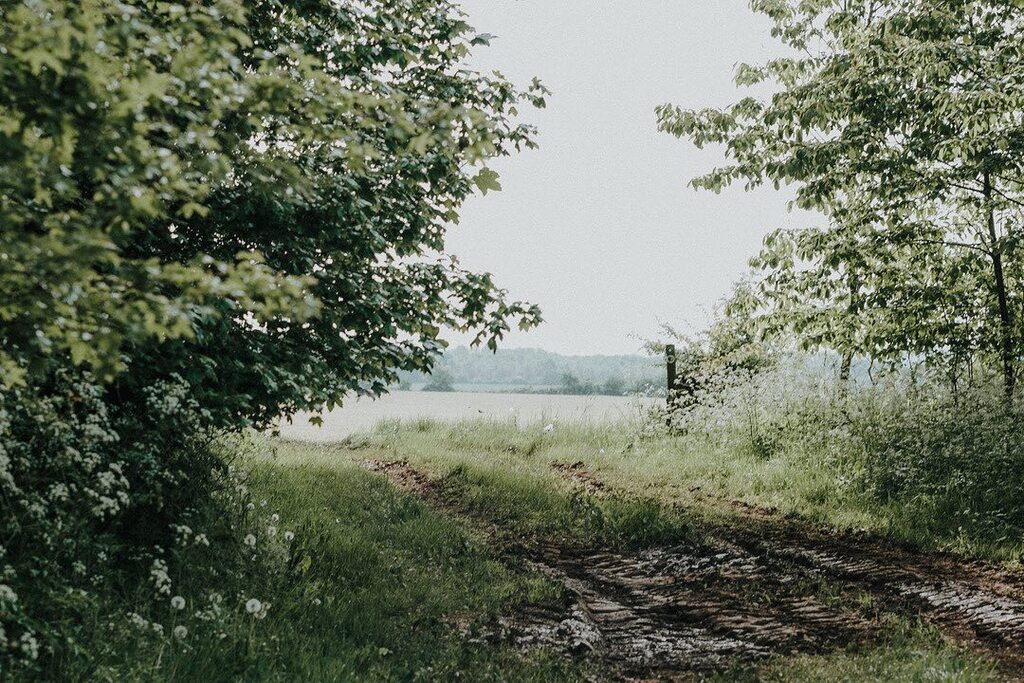 KateCullenStyle's tweet photo. All the greens… it may be a slightly mundane shot but I love the transition of the grass greens through to the aquas and forest tones. My favourites…
.
.
.
.
.
.
.
.
.
.
.
• #inspiredbynature #naturephotography #naturelovers #wildgreen #wildflowers… https://t.co/6UbUJY4luN https://t.co/JQi6Q57DjT