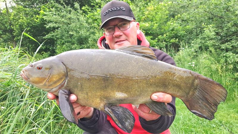 Vangstenregistratie.nl tweet media