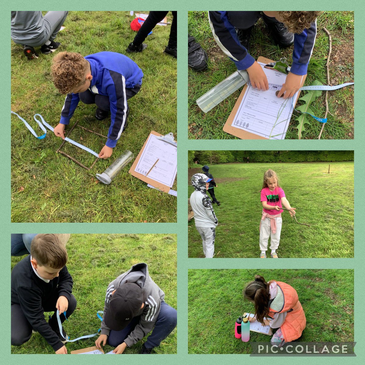 Primary 3/4 were measuring and estimating during #OutdoorClassroomDay last week ✏️📏@whitecrossp3_4