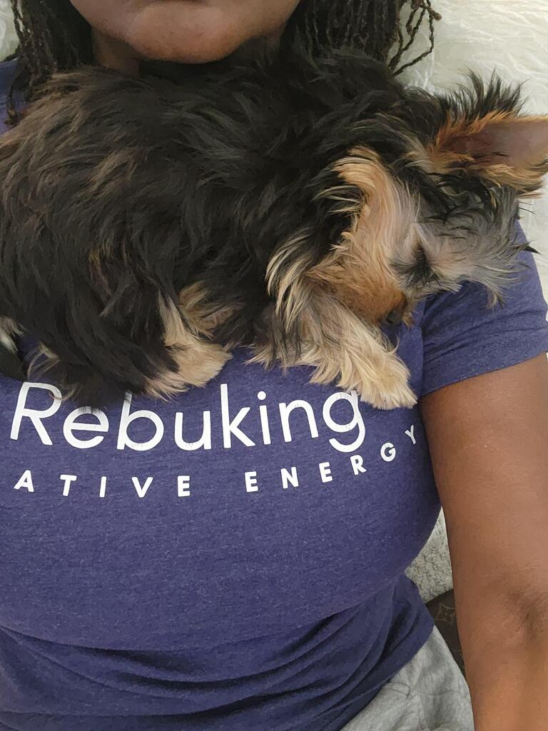 CuteYorkiesPics's tweet photo. I sleep where I want to sleep.... #yorkies #dogsoftwitter #cute https://t.co/yMD7ksKZyi