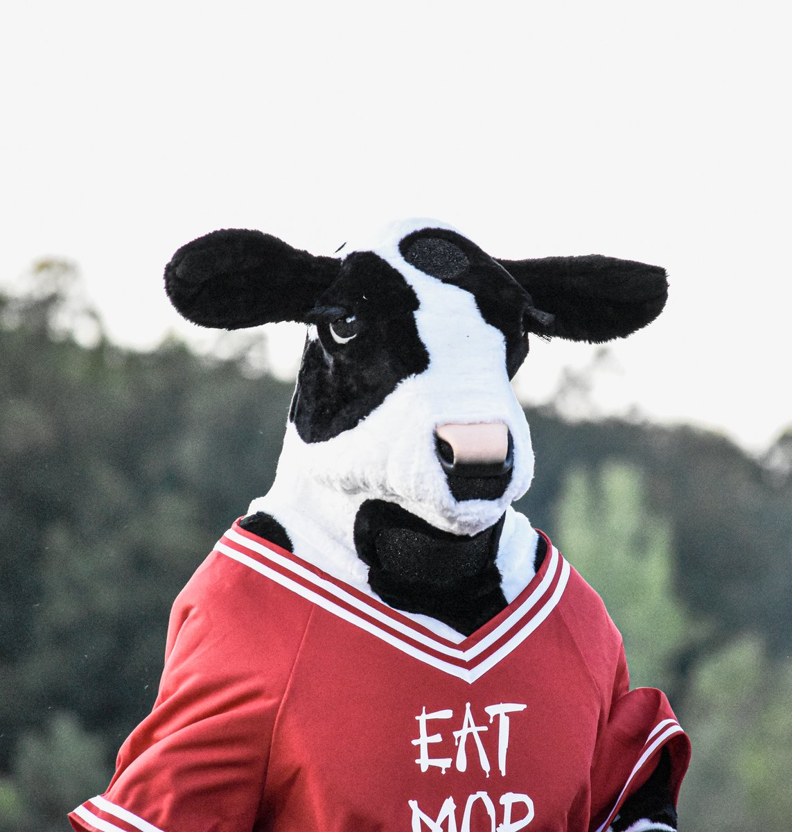 Austin "Suvi" Souvanarath tweet media