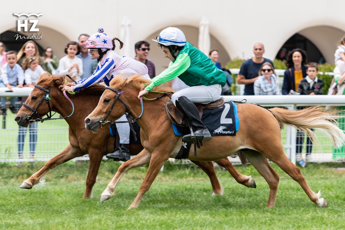 Hipódromo de La Zarzuela tweet media