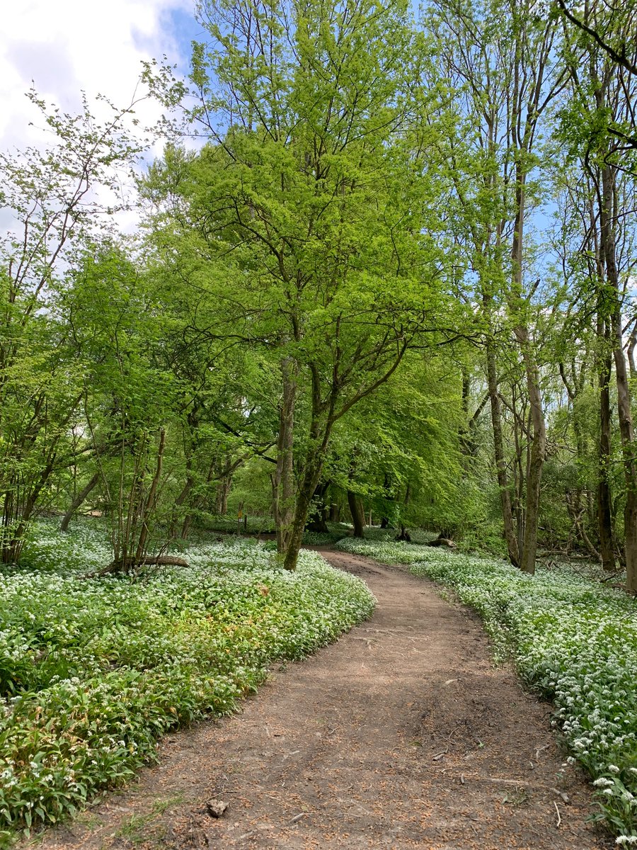 Sean Parry tweet media