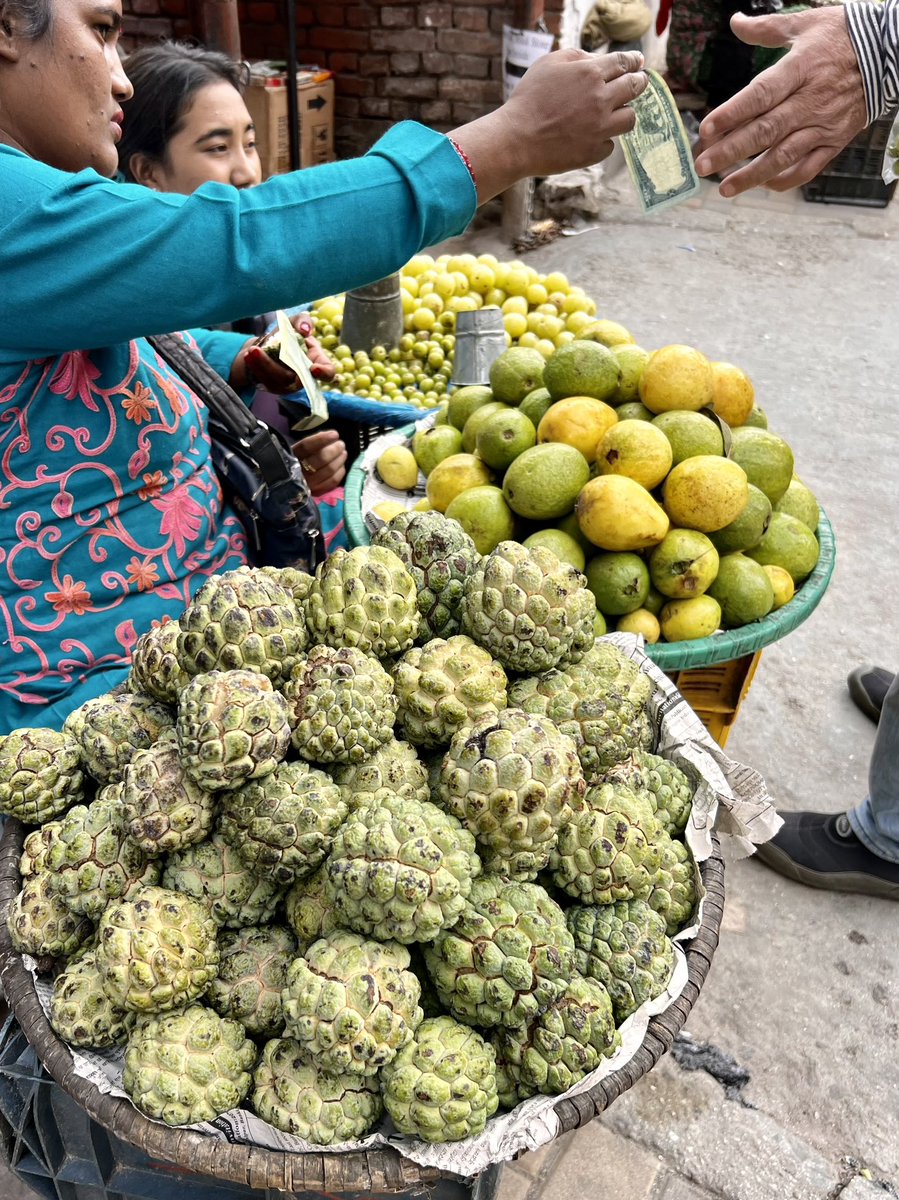 jyotirgamoy's tweet image. Exotic tropical fruit in Nepali market - #sarifa, so unique in flavor, very sweet, creamy and tastes like vanilla custard with a hint of pineapple.  It is full of antioxidants and vitamins. Have you ever tried this fruit?

 #custardapple #sugarapple #sitaphal #tasteofnepal