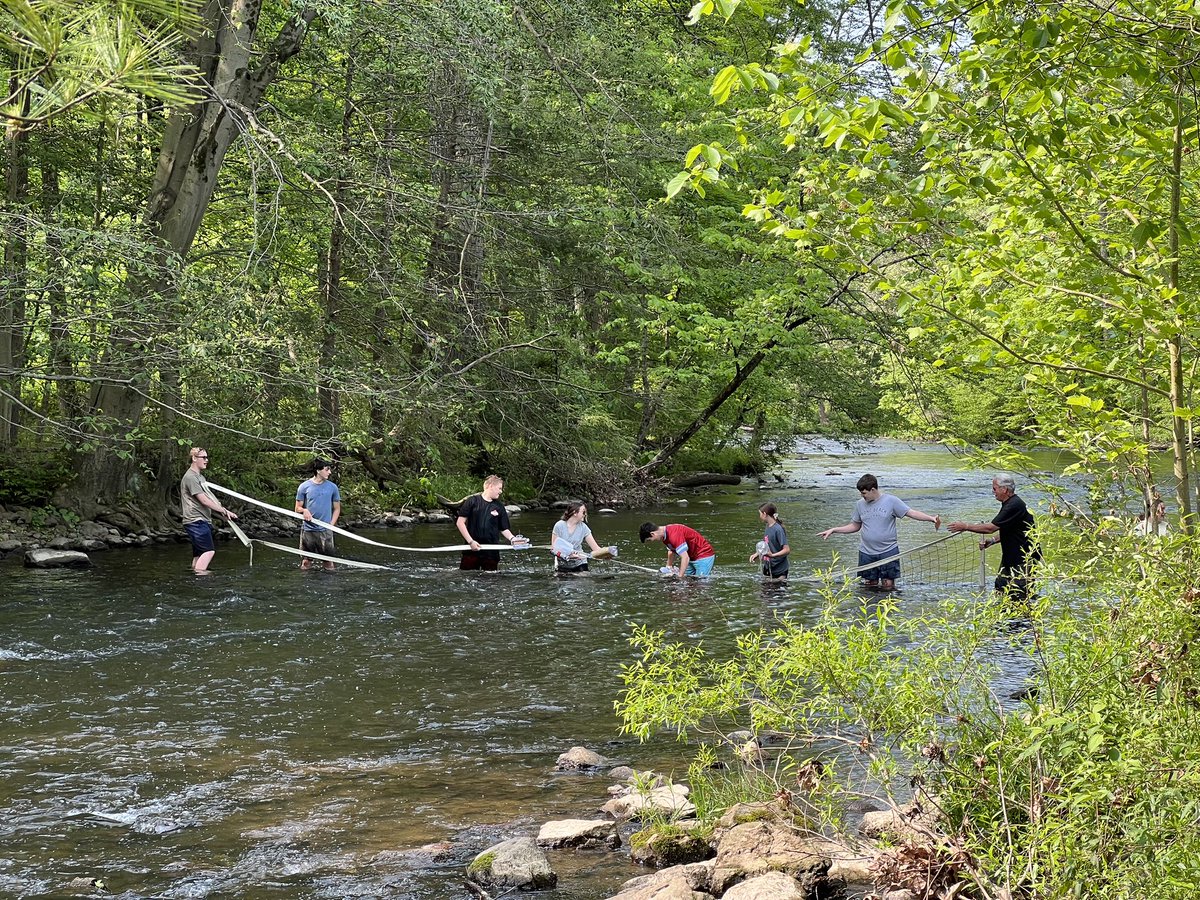 Melissa Betz tweet media