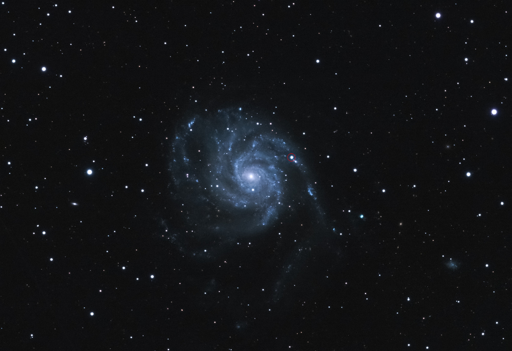Astronomy Pictures tweet media