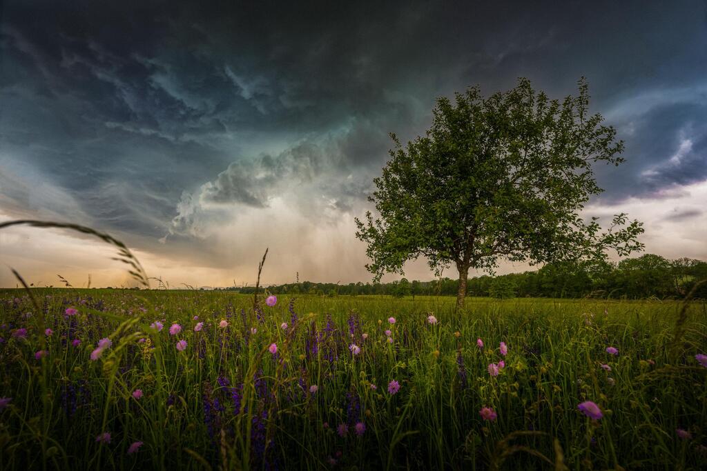 Into the storm [OC], Southern Winestreet, Germany [3000x2000] IG: Farbik, feel free to join #nature