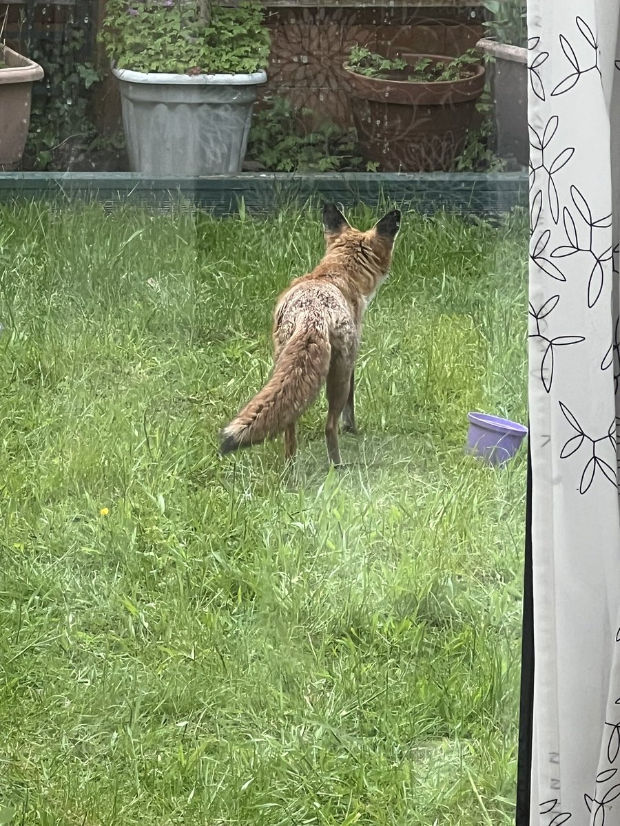 Mandy Cove tweet media