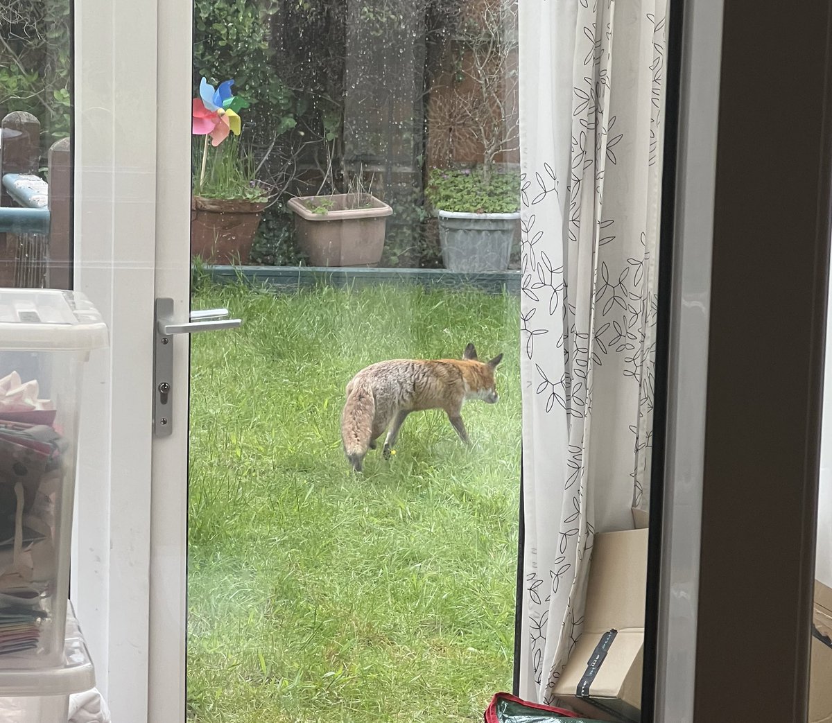 Mandy Cove tweet media