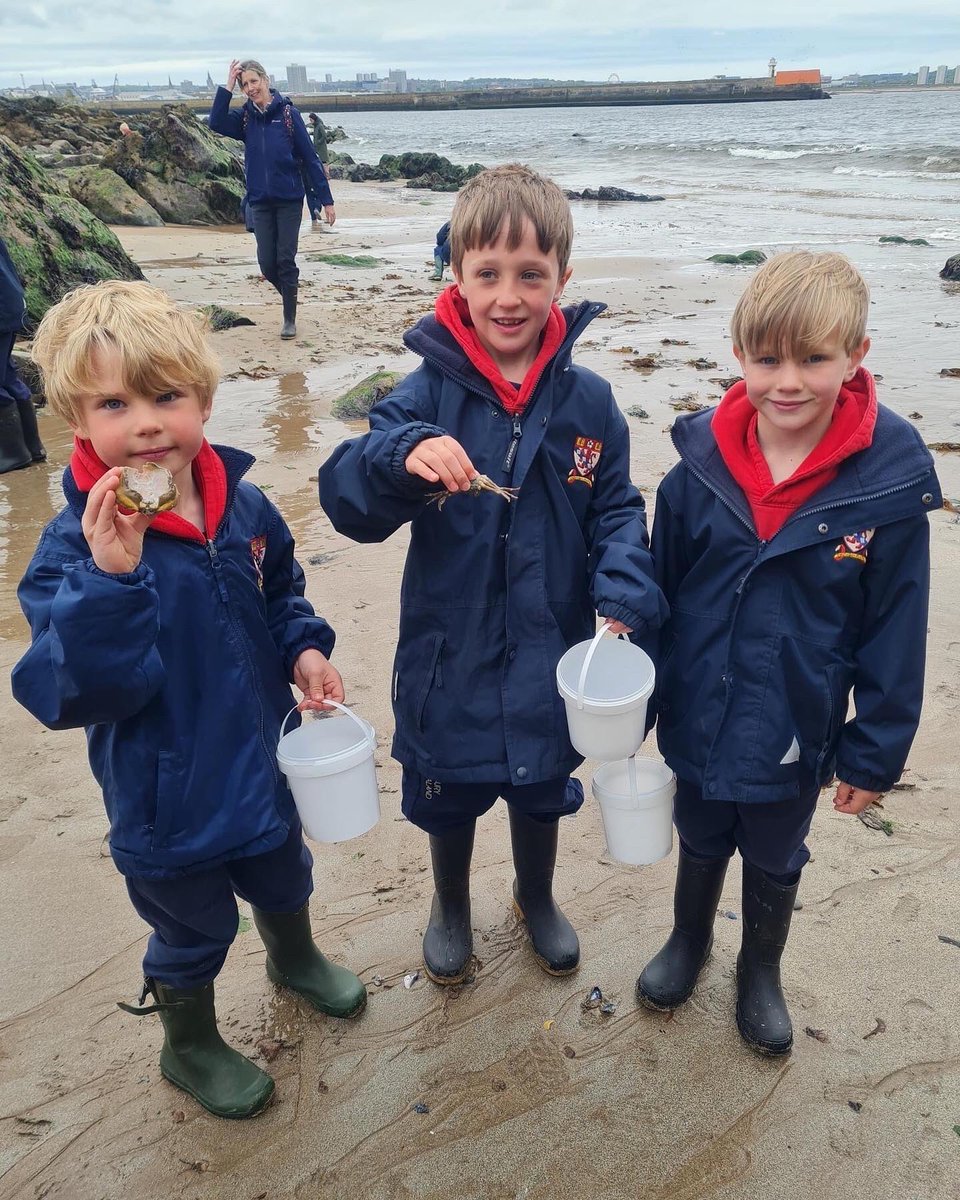 Today, J1-3 were at @greyhopebay for a coastal exploration session & dolphin spotting. 

Our pupils had great fun exploring the beach, learning about the different creatures that inhabit the shoreline and the importance of preserving these fragile ecosystems.

#LathallanSchool