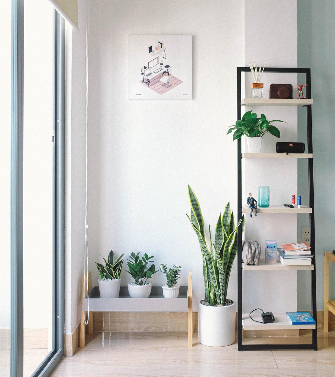 Elevate your indoor space by incorporating some greenery. 

Enjoy the countless benefits of having plants at home, from improved air quality to a calming ambience. facebook.com/10181065821876…