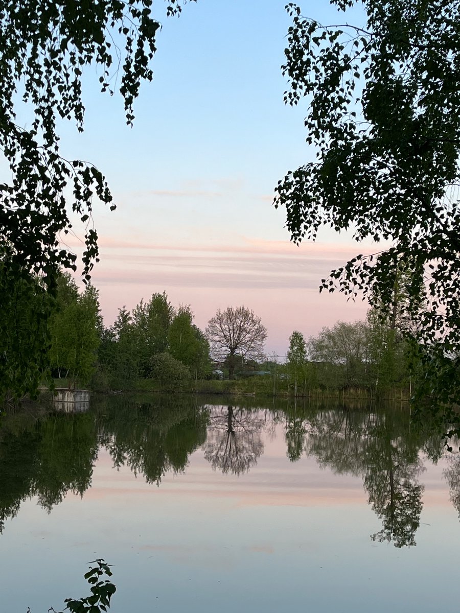 OlgaObolenskaja's tweet photo. Природа совершенна.
Задача человечества - не навредить.
Вчера на прогулке сняла . https://t.co/7jv8JdhFTd
